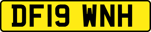 DF19WNH