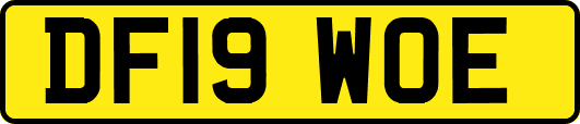 DF19WOE