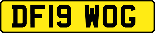 DF19WOG