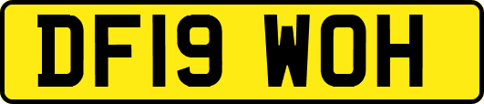 DF19WOH