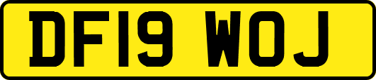 DF19WOJ