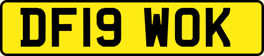 DF19WOK