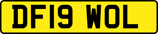 DF19WOL