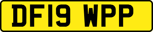 DF19WPP