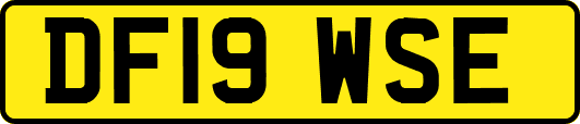 DF19WSE