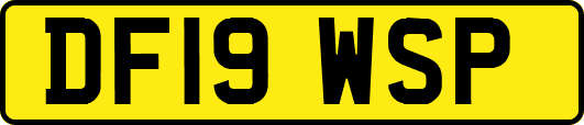 DF19WSP