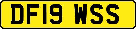 DF19WSS