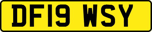 DF19WSY