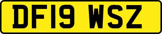 DF19WSZ
