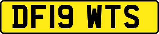 DF19WTS