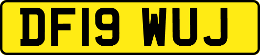 DF19WUJ