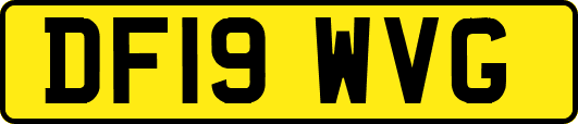 DF19WVG