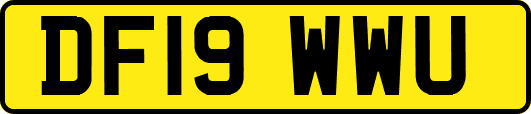 DF19WWU