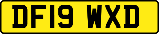 DF19WXD