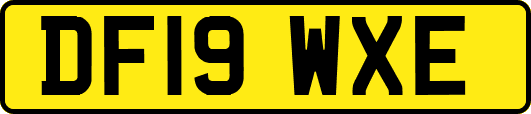 DF19WXE