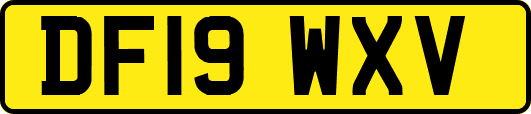 DF19WXV