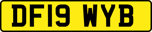 DF19WYB