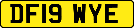 DF19WYE