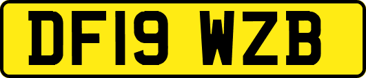 DF19WZB
