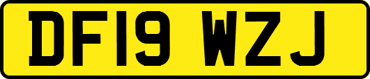DF19WZJ
