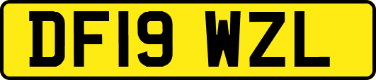 DF19WZL