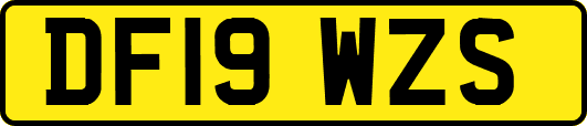DF19WZS