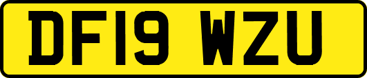 DF19WZU