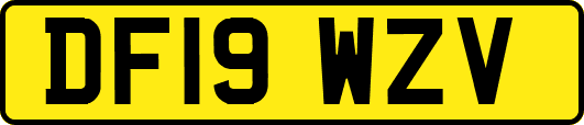 DF19WZV