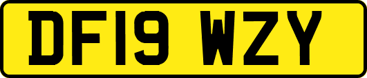 DF19WZY