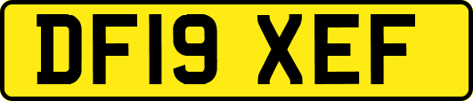 DF19XEF