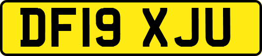 DF19XJU