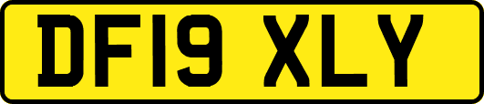 DF19XLY