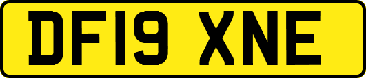 DF19XNE