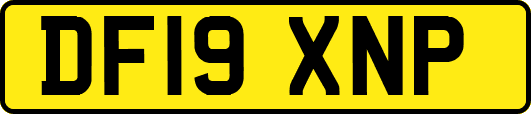 DF19XNP