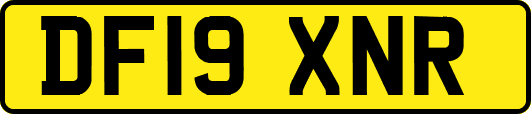 DF19XNR