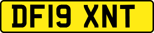 DF19XNT