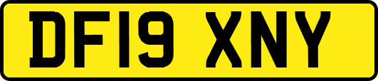 DF19XNY
