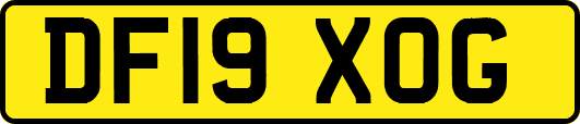 DF19XOG