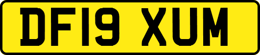 DF19XUM