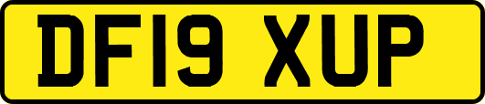 DF19XUP