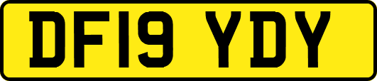 DF19YDY
