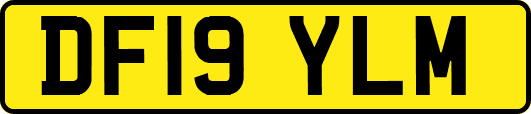 DF19YLM