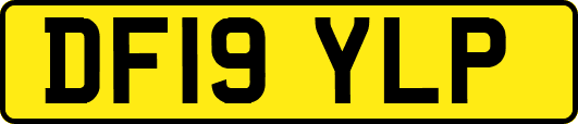 DF19YLP