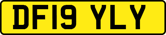 DF19YLY