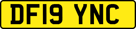 DF19YNC