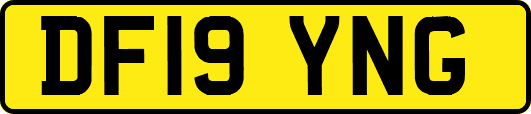 DF19YNG