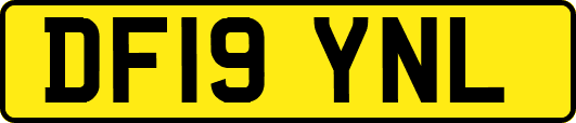 DF19YNL