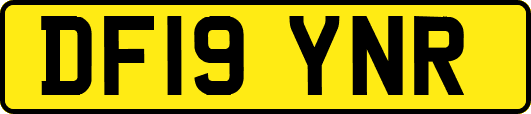 DF19YNR