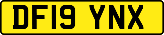 DF19YNX