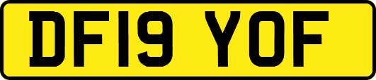 DF19YOF